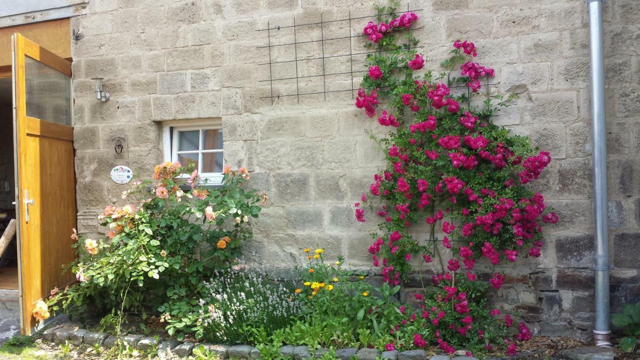 Marcos Heuboden Bed & Breakfast Oberzissen Bagian luar foto